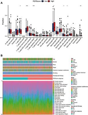 A pyroptosis expression pattern score predicts prognosis and immune microenvironment of lung squamous cell carcinoma